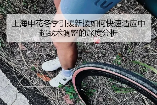 上海申花冬季引援新援如何快速适应中超战术调整的深度分析